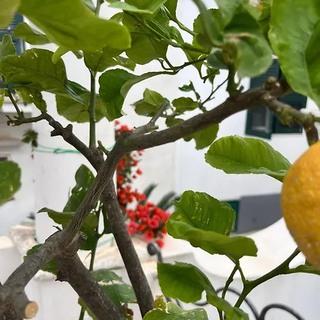 Alle Stelle B&B Anacapri  Buitenkant foto