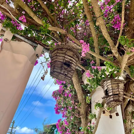 Alle Stelle B&B Anacapri  Buitenkant foto