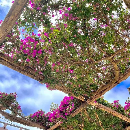 Alle Stelle B&B Anacapri  Buitenkant foto