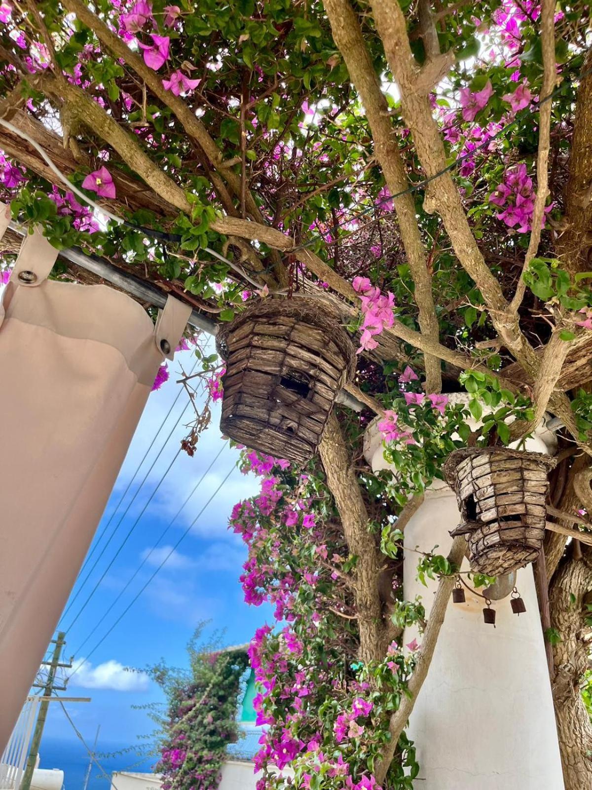 Alle Stelle Bed & Breakfast
