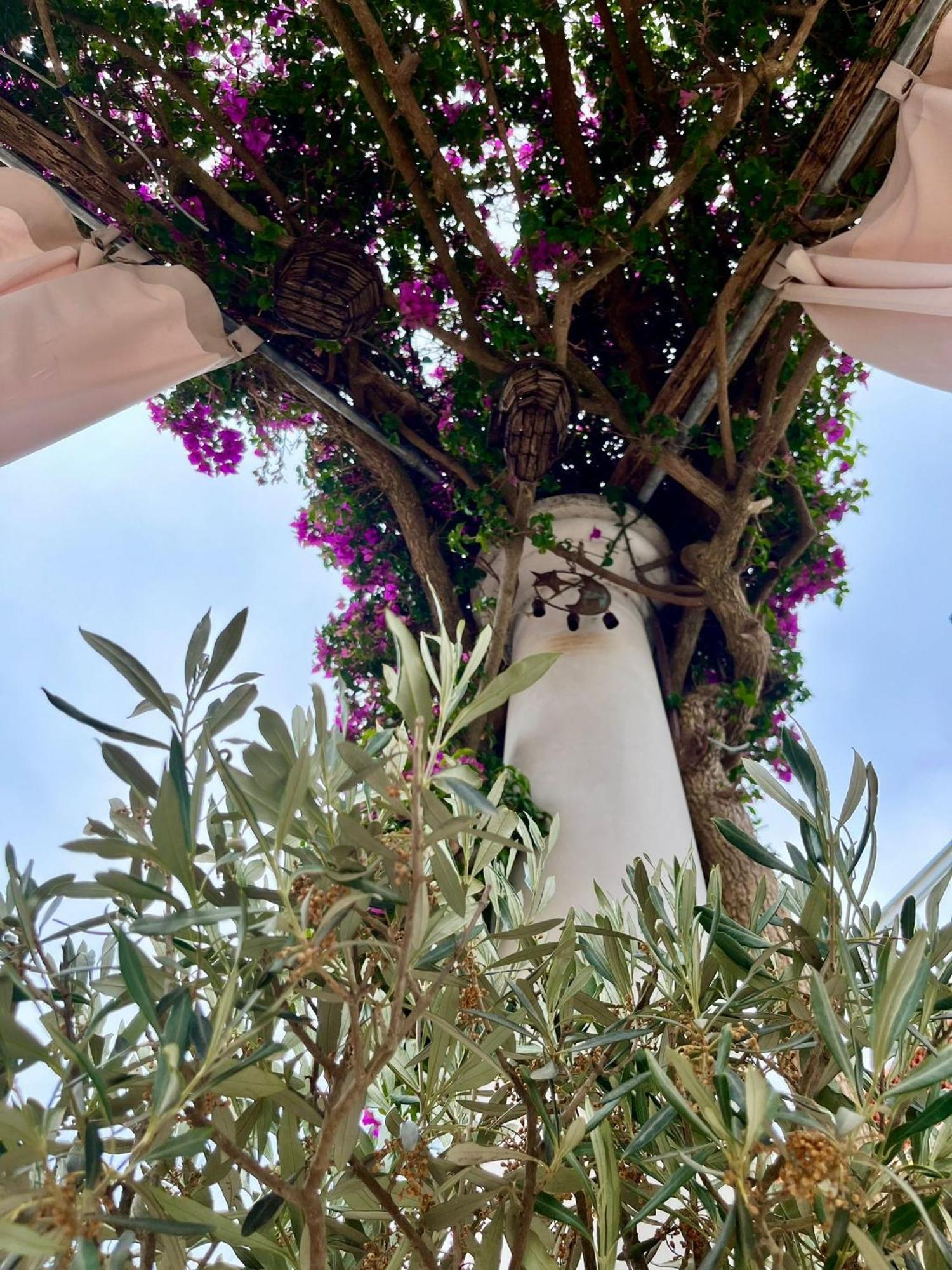Bed & Breakfast Alle Stelle Anacapri (Isola di Capri)